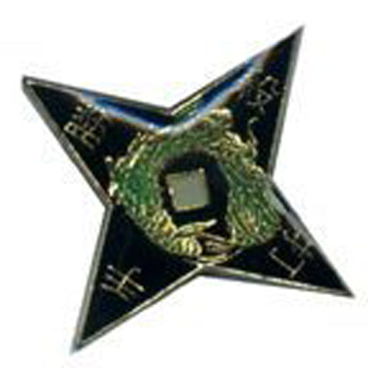 8941 - Hat Pin Dragon Star - |R-21 Floor|
