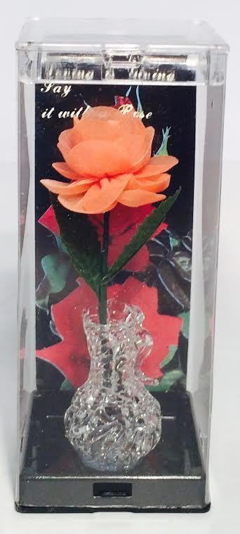 9531 - 5" Orange Everlasting Rose with Vase |TBD|