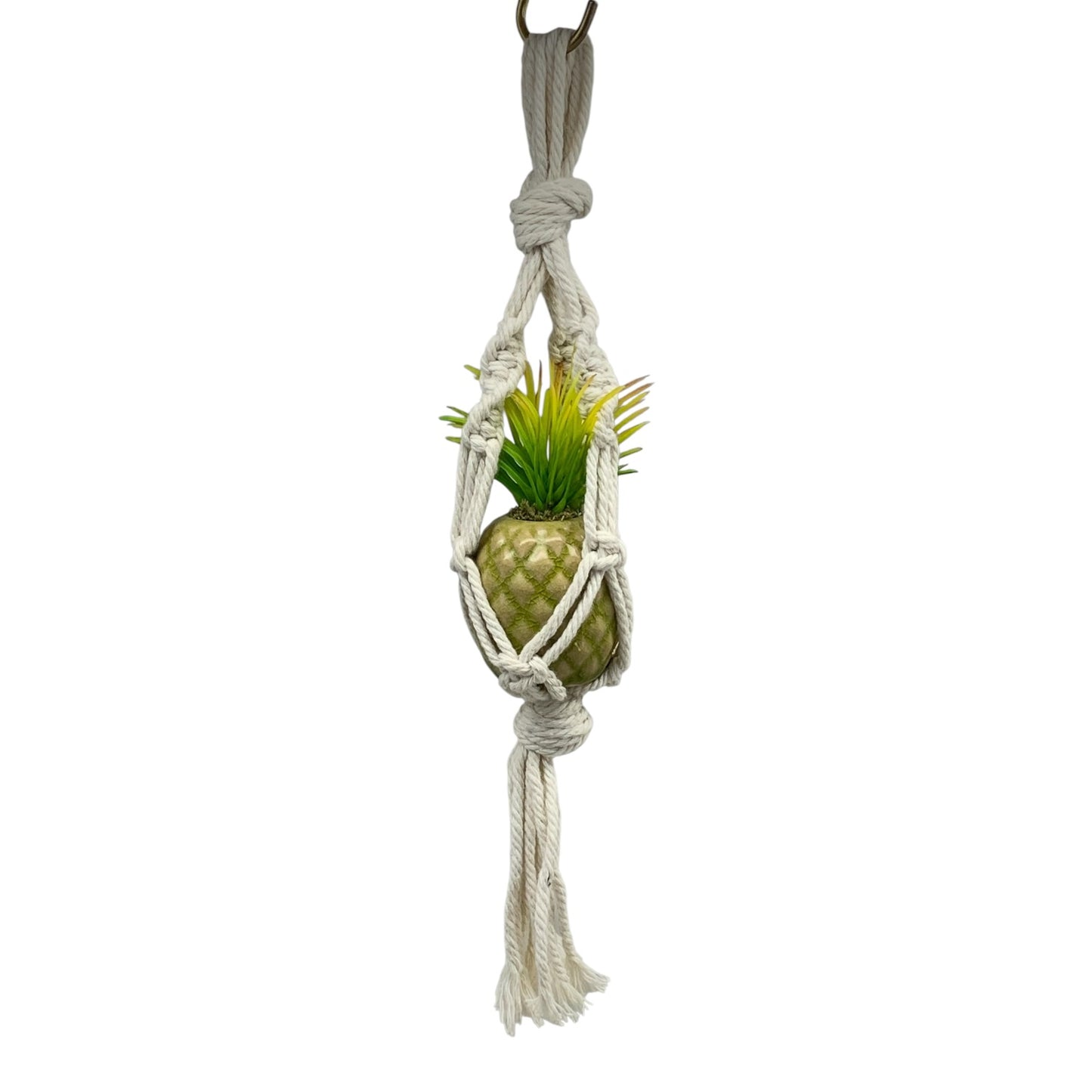 38125 - Pineapple In Hanger - |TBD/Store|