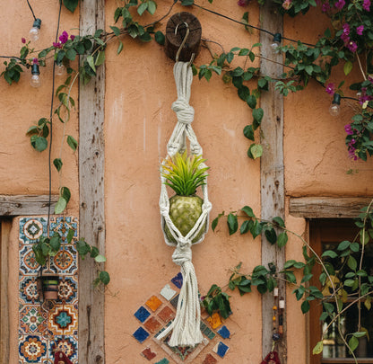 38125 - Pineapple In Hanger - |TBD/Store|