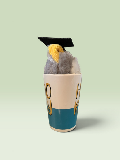26209 - 8" Owl Plush Graduation Mug Set |23-1|