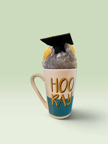 26209 - 8" Owl Plush Graduation Mug Set |23-1|