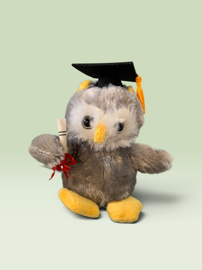 26209 - 8" Owl Plush Graduation Mug Set |23-1|
