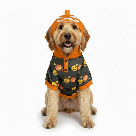 32448 - Dog Pumpkin Jacket 19" |Pod 2-26|
