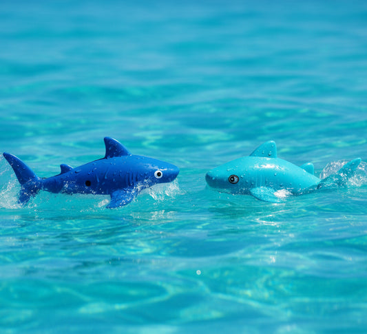 23852 - Set of Two 6" Bath Time Buddy Wind Up Sea Animal Shark |TBD|