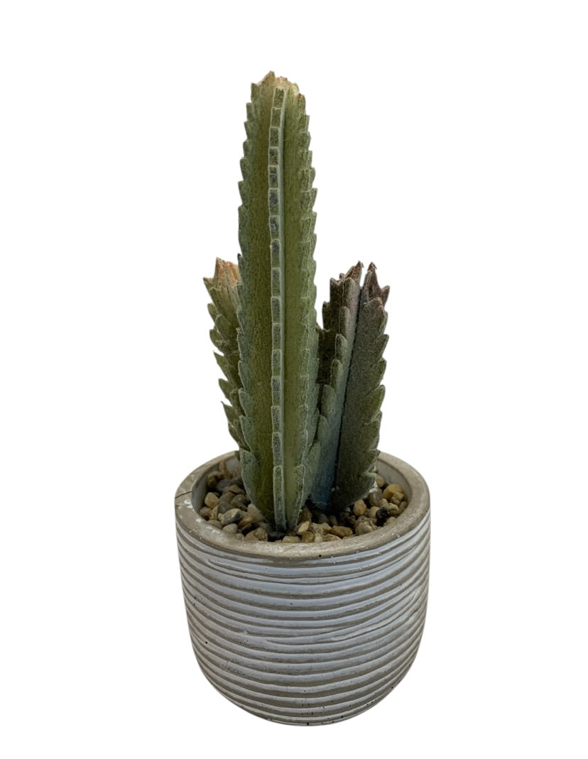 26159 - 8" Artificial Green Saguaro Cactus |12-25|