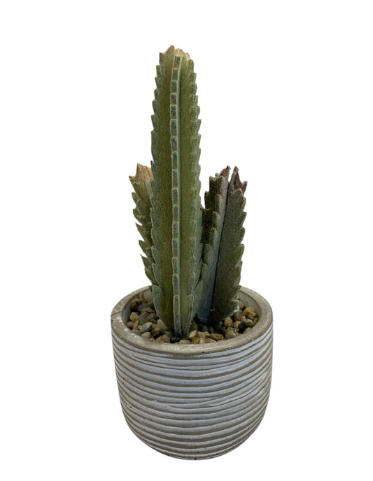 26159 - 8" Artificial Green Saguaro Cactus |12-25|