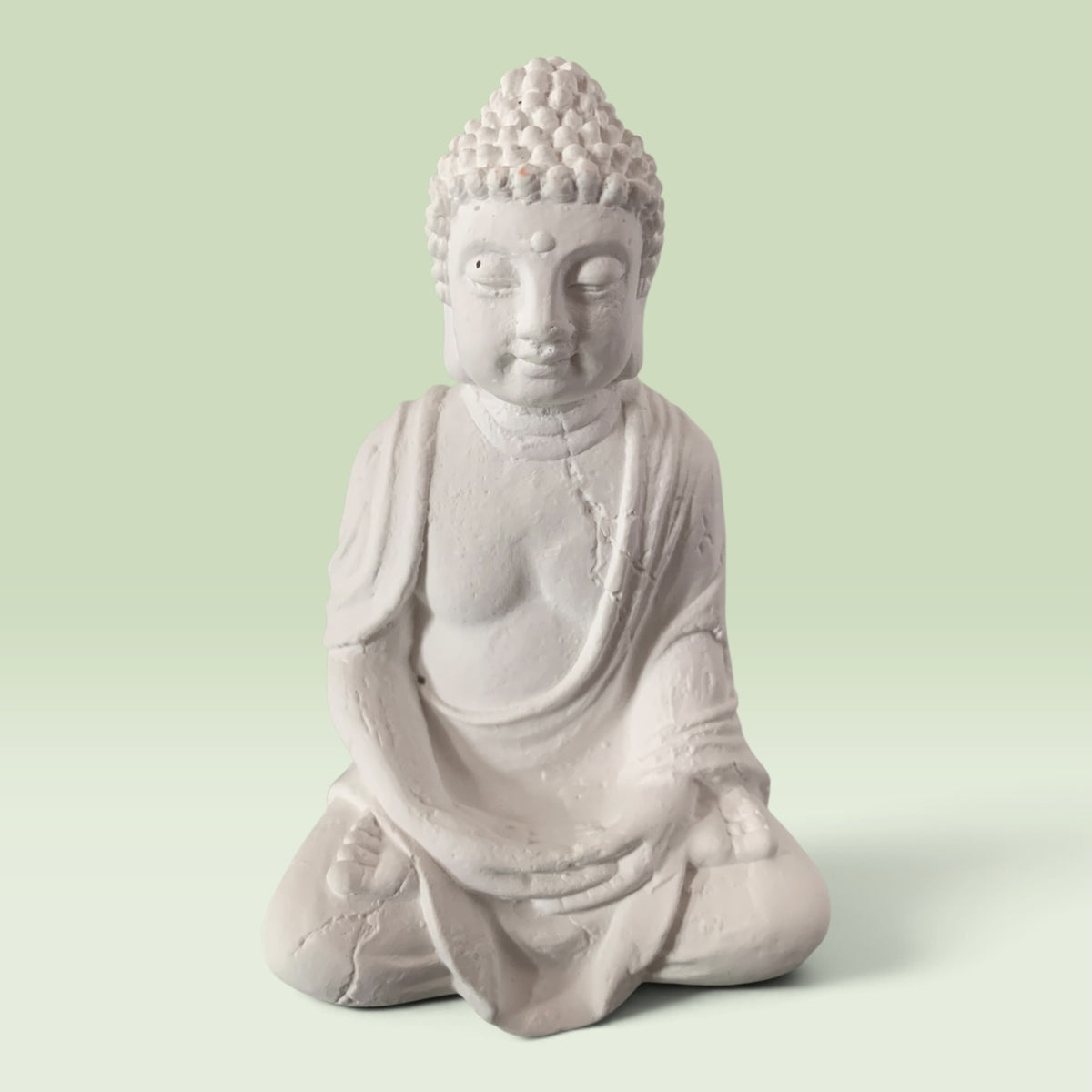 19307 - Zen Garden on Dragon Plate |TBD|