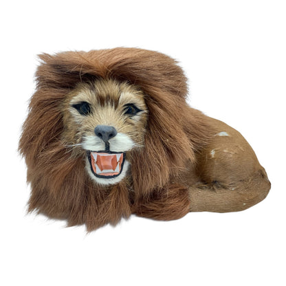17971 - 8" Brown Fur Lion Roar Laying |Z-23|