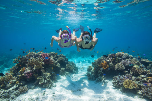 15341 - Black and Purple Adult Snorkel & Mask Set 12" |TBD|