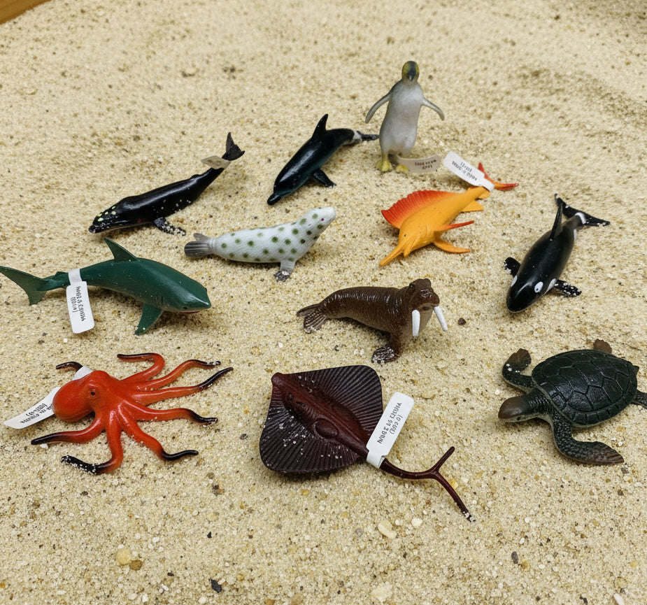 15876 - 11 Pieces Assorted Sea Life |9-11|
