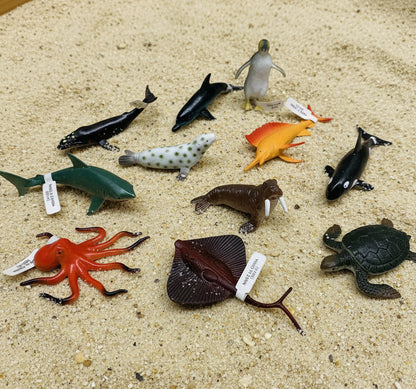 15876 - 11 Pieces Assorted Sea Life |9-11|