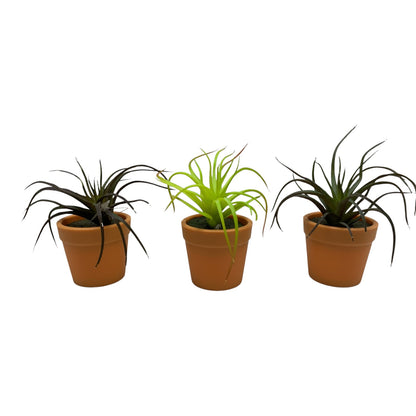 36831 - Set of Three 3.5" Faux Spider Plant in Pot |TBD|
