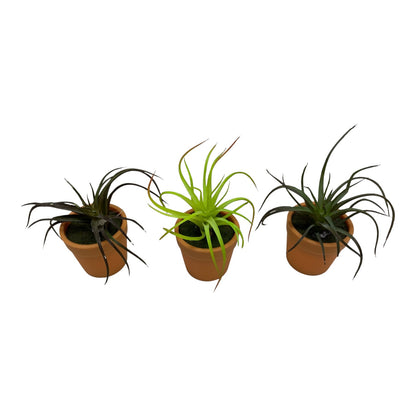 36831 - Set of Three 3.5" Faux Spider Plant in Pot |TBD|