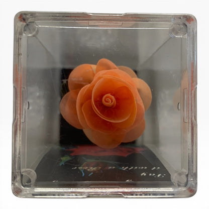 9531 - 5" Orange Everlasting Rose with Vase |TBD|