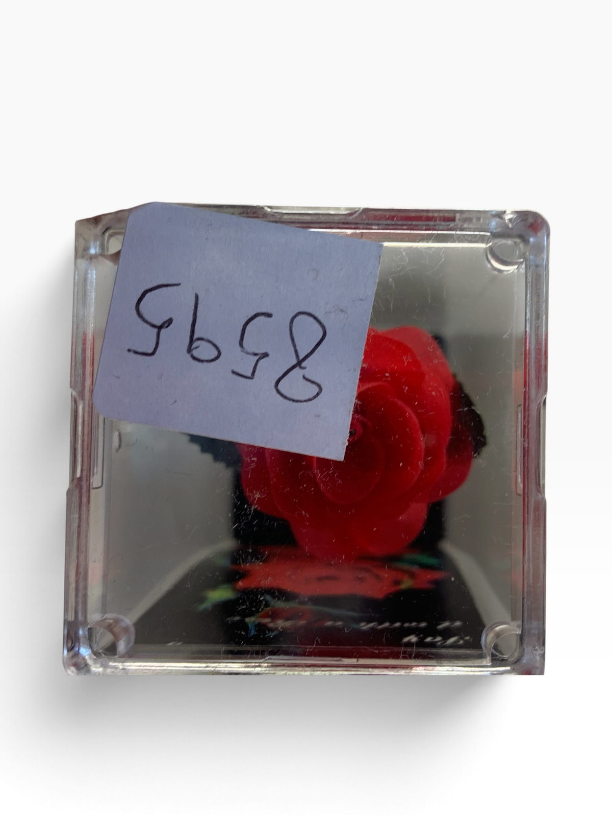 8595 - 5" Red Everlasting Rose with Vase |23-2|
