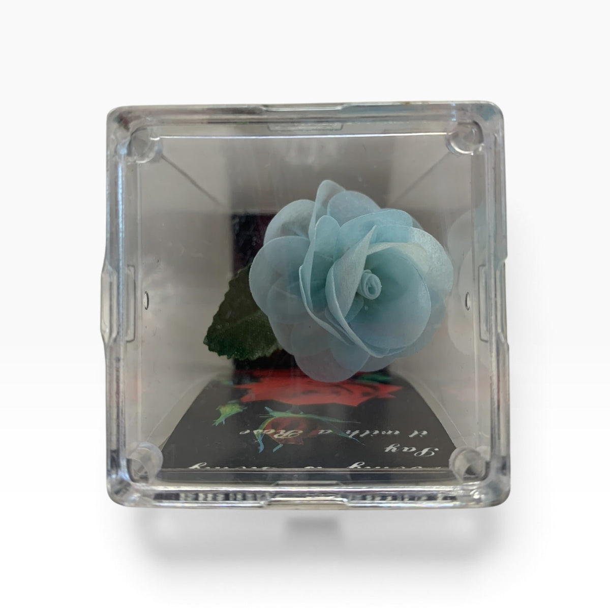 9104 - 5" Light Blue Everlasting Rose with Vase |TBD|