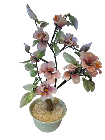15009 - 10" Pink Jade Tree - Round Base |14-26|