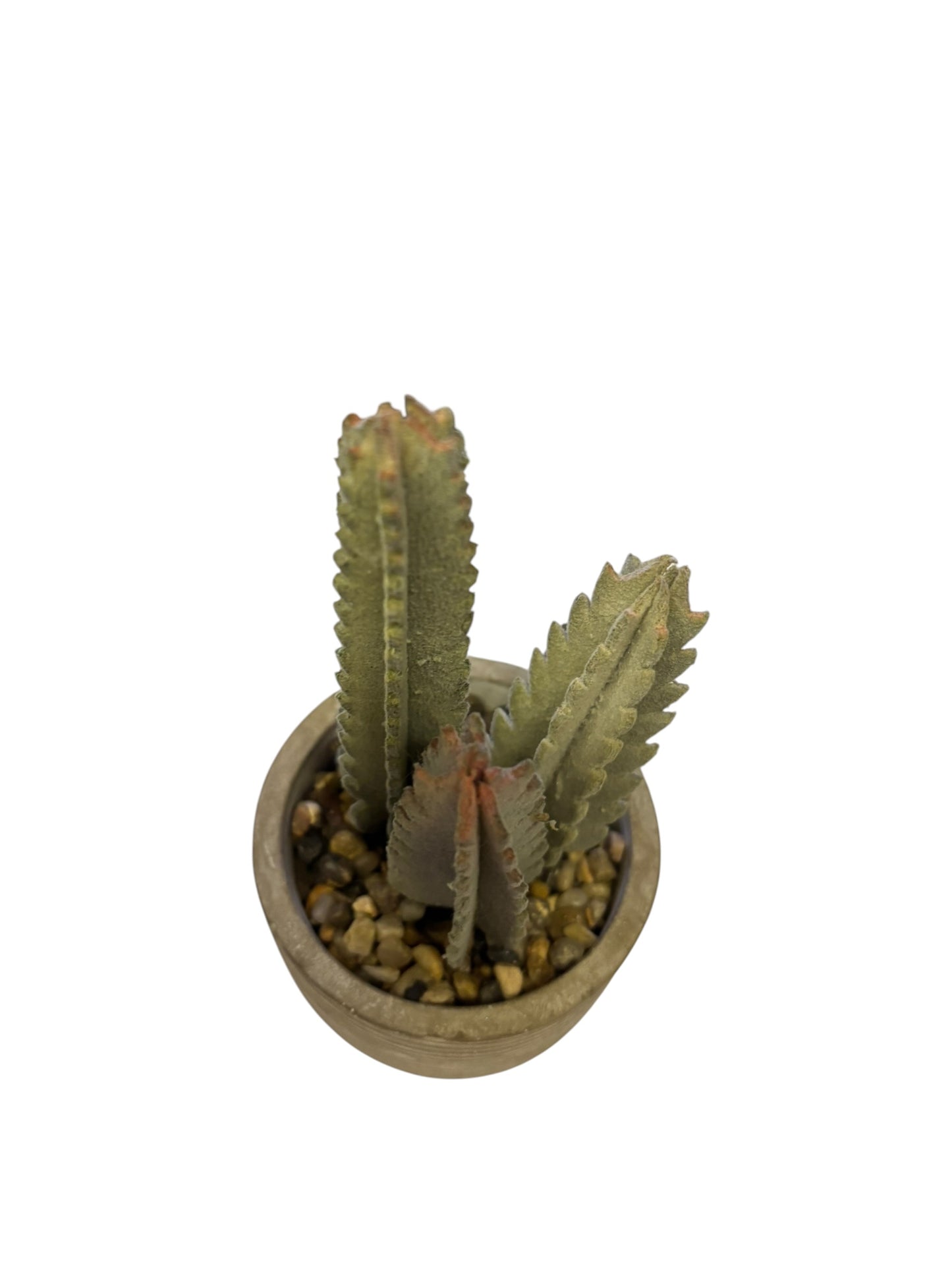 26159 - 8" Artificial Green Saguaro Cactus |12-25|
