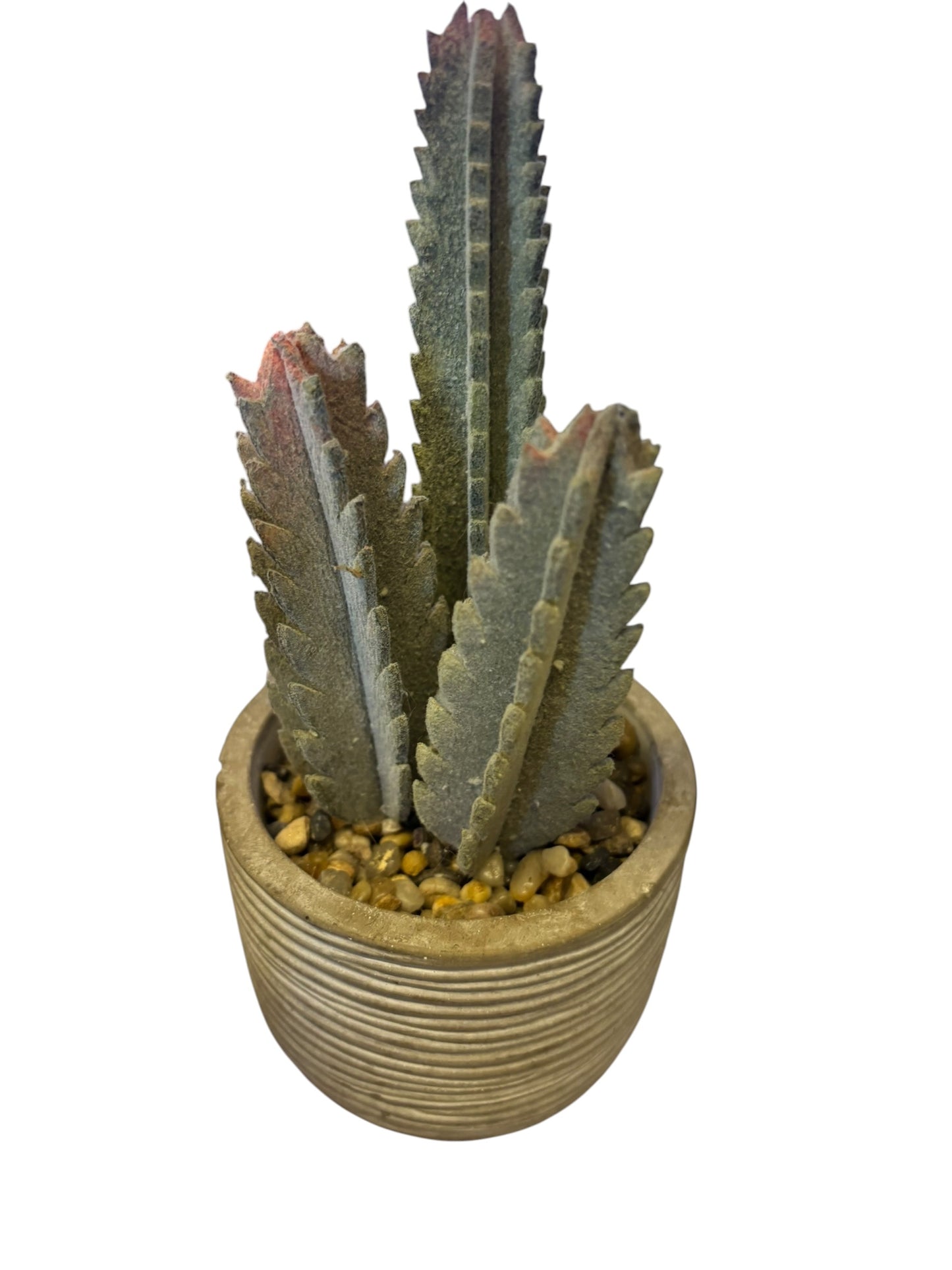 26159 - 8" Artificial Green Saguaro Cactus |12-25|