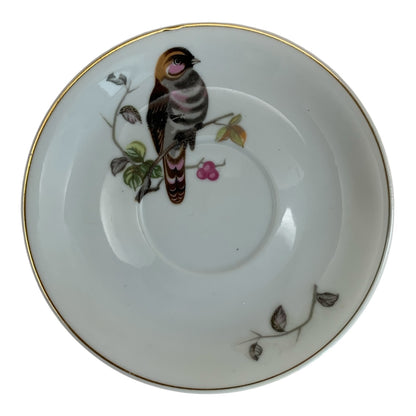 15519 - Bird Cup and Saucer 3" |12-25|
