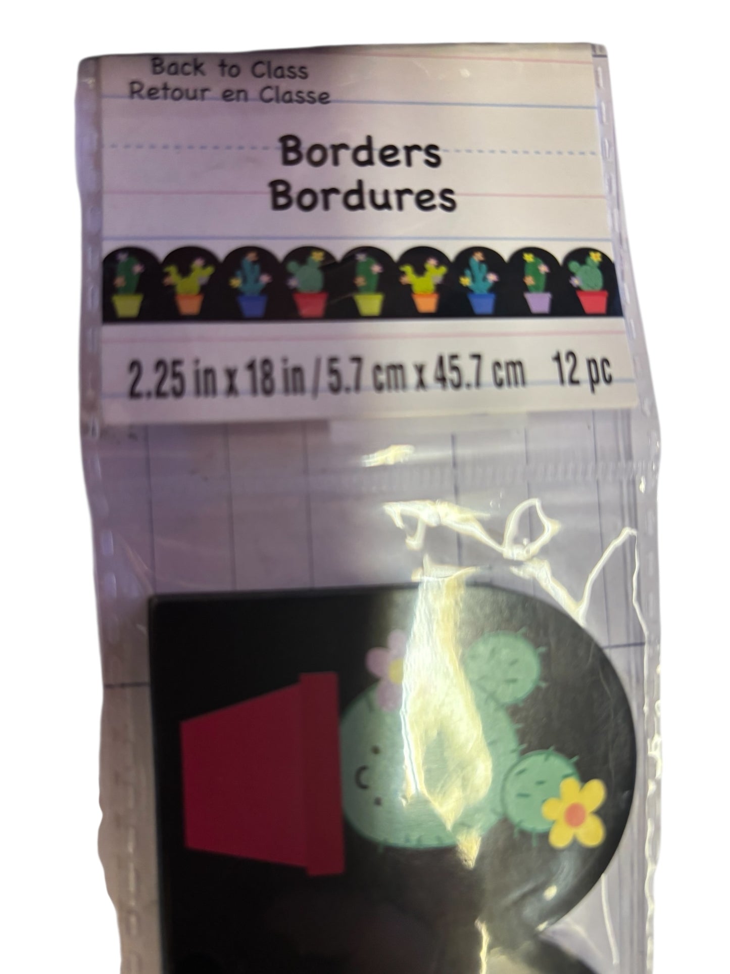 36796 -Bulletin Board Vibrant Cactus Border |9-7|