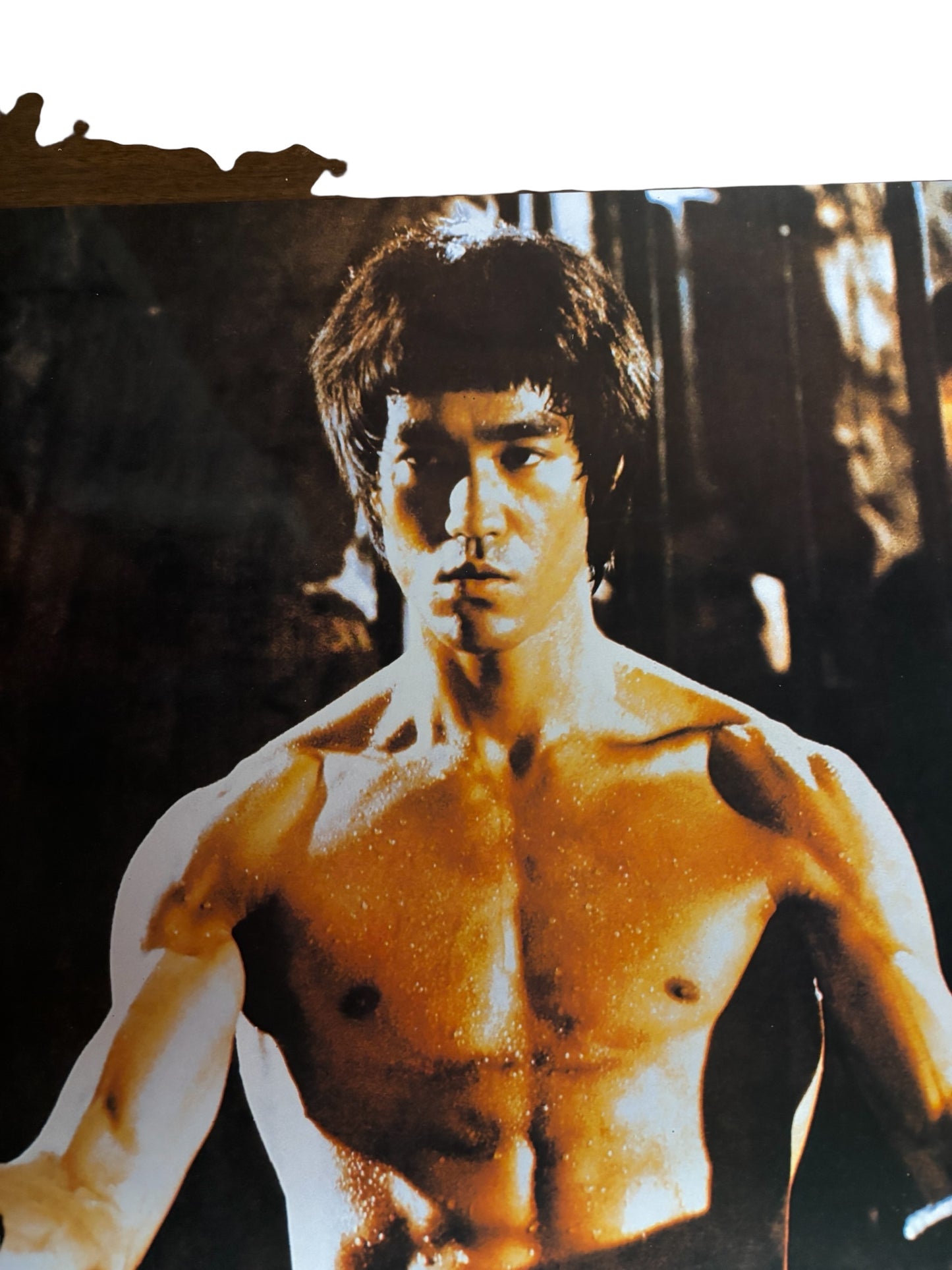 867 - Authentic Bruce Lee Poster Featuring Two Kali Stick, 15x20 Inches, Free Shipping