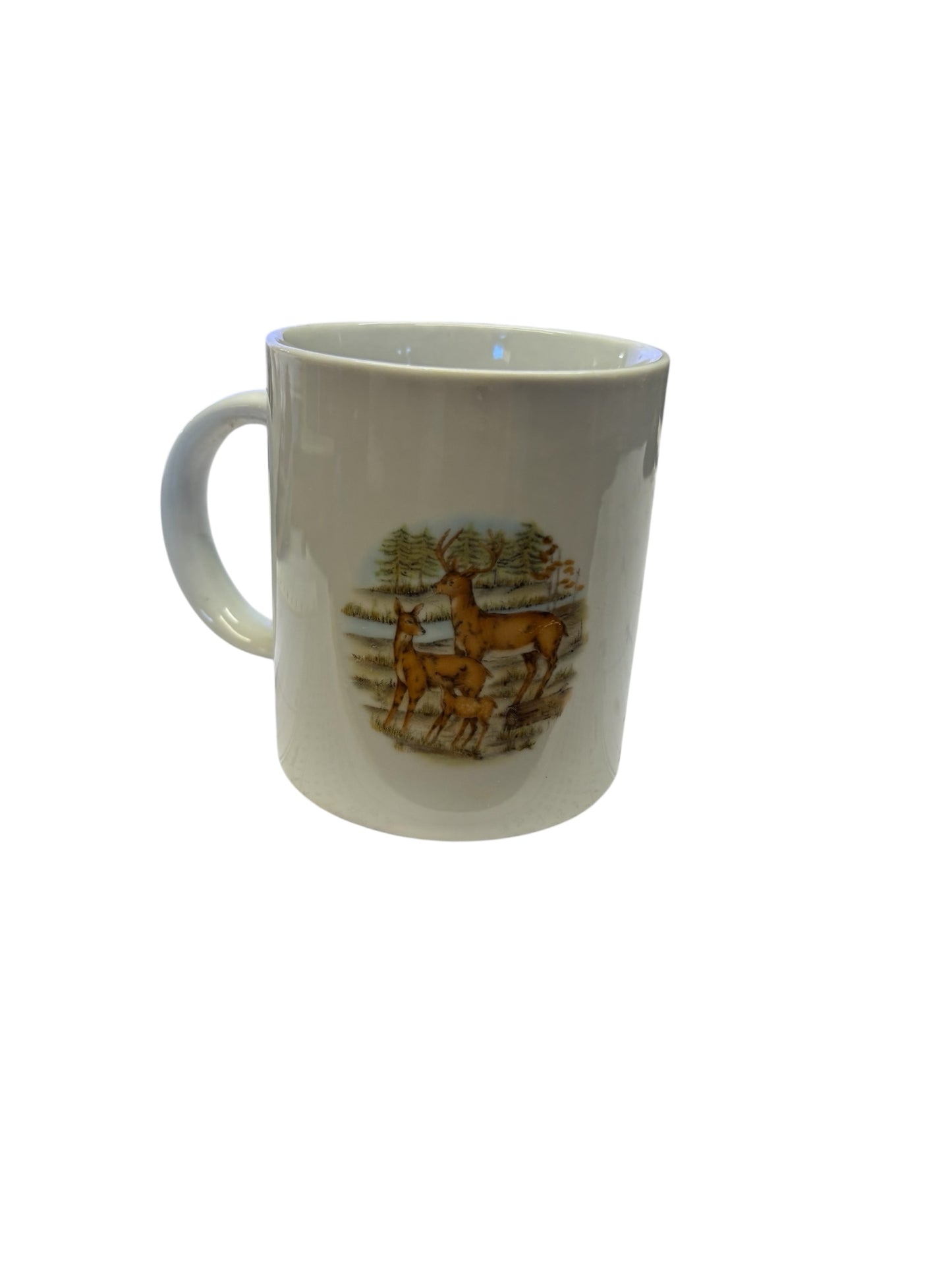 39957 - Ceramic Mug 10 Oz Don't Ever Give Up Your Dreams |7-24|