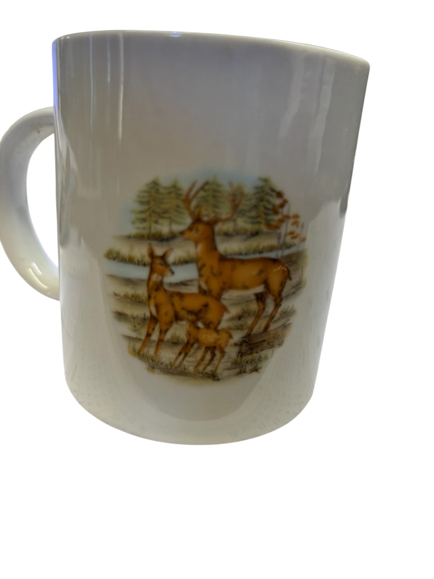 39957 - Ceramic Mug 10 Oz Don't Ever Give Up Your Dreams |7-24|