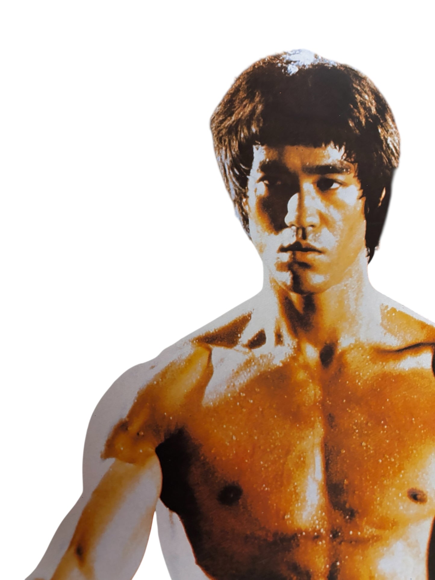 867 - Authentic Bruce Lee Poster Featuring Two Kali Stick, 15x20 Inches, Free Shipping
