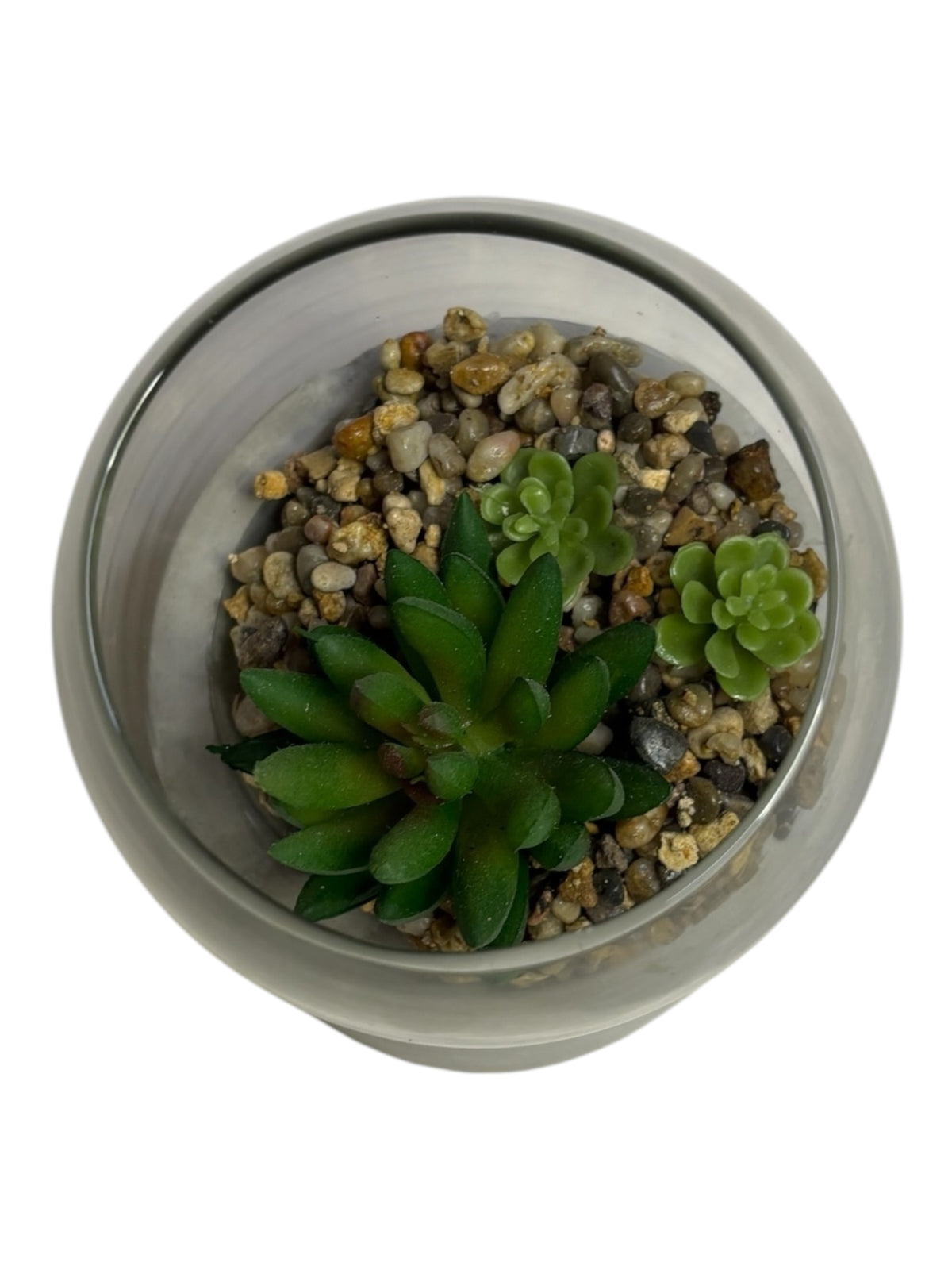 26146 - Glass Cement Succulent Planter 5" |15-22|