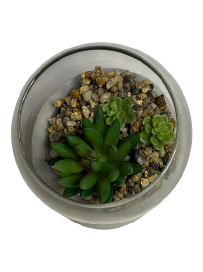 26146 - Glass Cement Succulent Planter 5" |15-22|