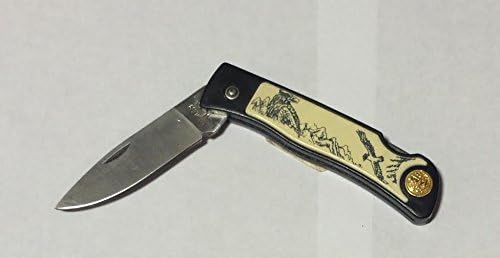 1437 - Eagle Scrimshaw Folding Collectible Knife |Store| |81|